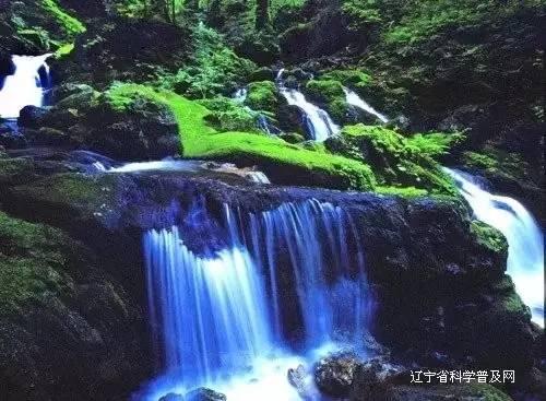 冰箱门吸力大质量就好吗-问答网站,专注解答你的疑问